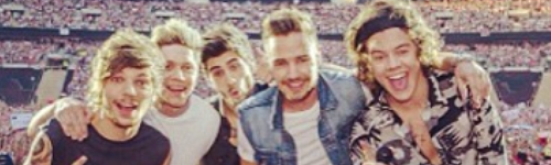 Naughty Liam One Direction Star Tricks Fans With X Rated Instagram