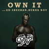 Own It (Colin Jay Remix) artwork
