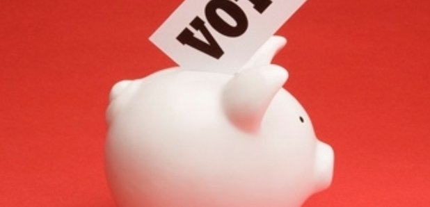 vote in piggy bank