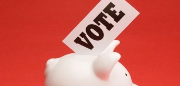 vote in piggy bank