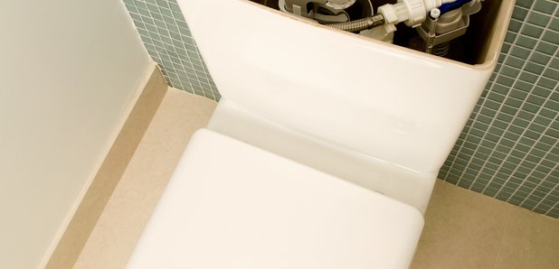 toilet