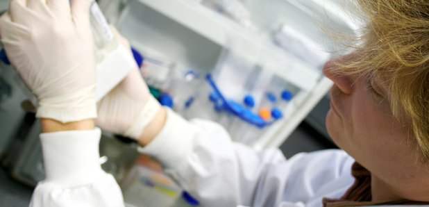 Breast Cancer Researcher