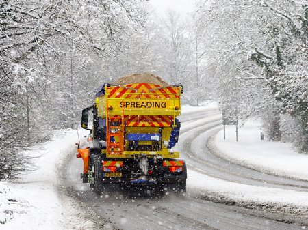 Snowy Snaps