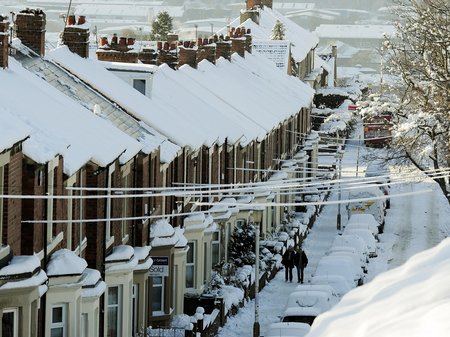 Snowy Snaps