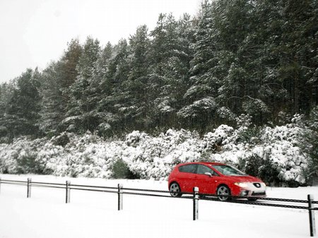 Snowy Snaps