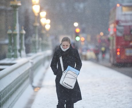 Snowy Snaps