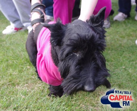 Race For Life Cardiff