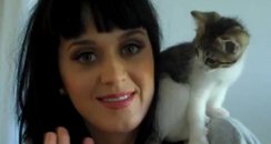 Katy Perry With Kitty Purry