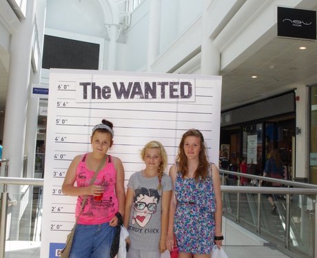 The Wanted