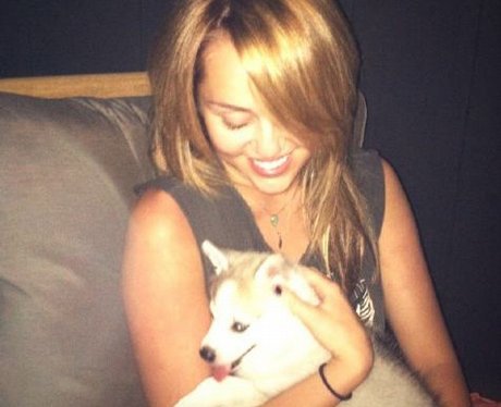 Miley Cyrus on twitter