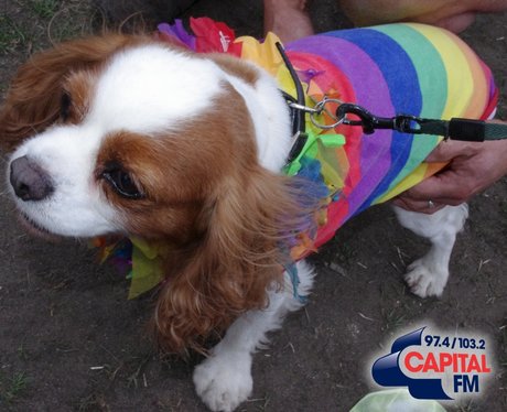 Cardiff Mardi Gras