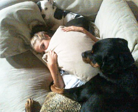Tulisa Contostavlos with her pet dog