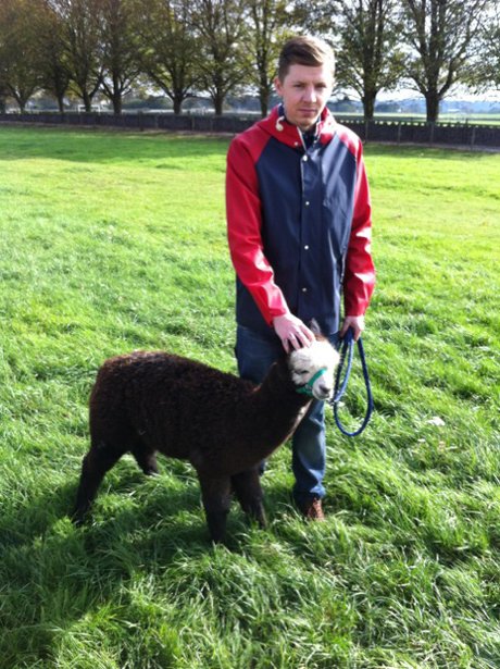 Professor Green gets acquainted with a goat