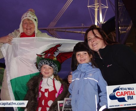 Wales rugby fans