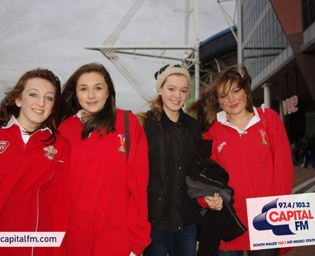 Wales rugby fans