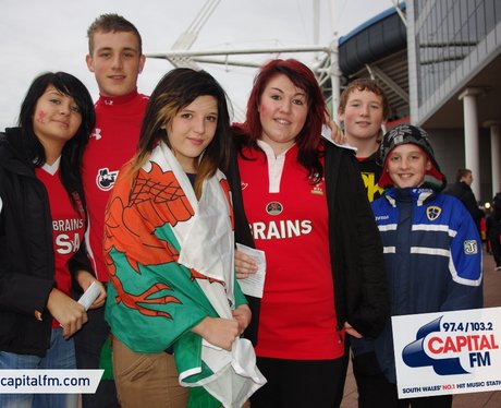 Wales rugby fans