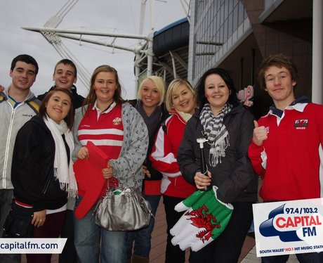 Wales rugby fans