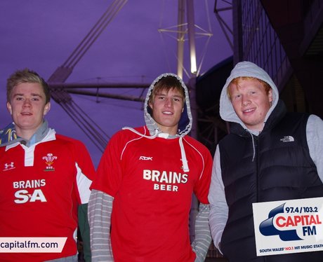 Wales rugby fans