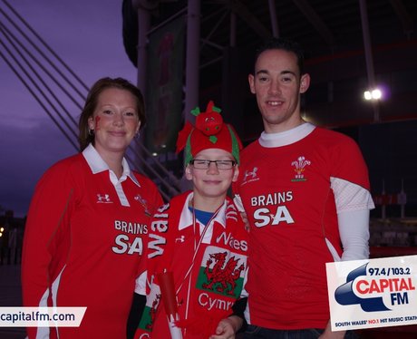 Wales rugby fans