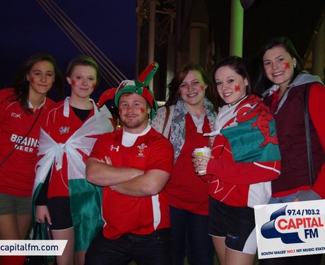 Wales rugby fans