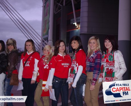 Wales rugby fans