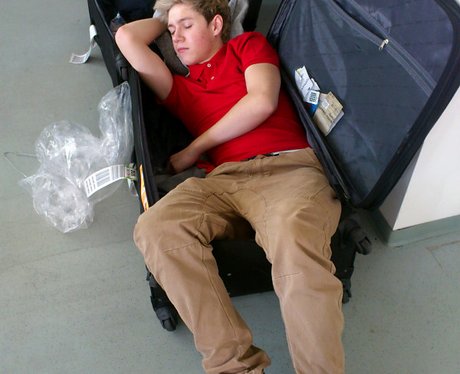 Niall Horan One Direction