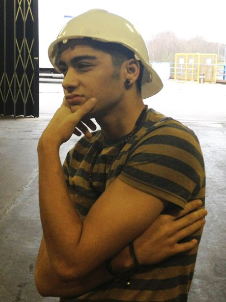 Zayn Malik strikes a pose.