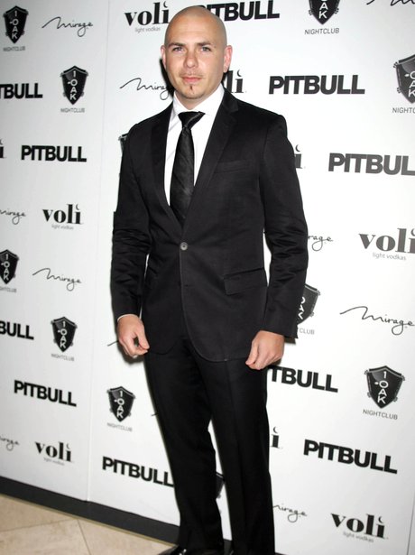 Pitbull at his birthday celebrations