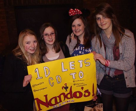One Direction fans