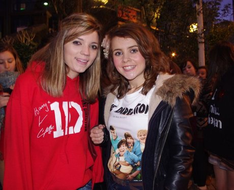 One Direction fans