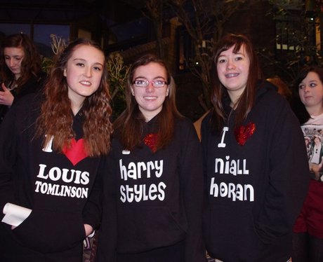 One Direction fans
