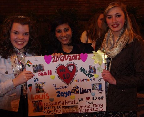 One Direction fans