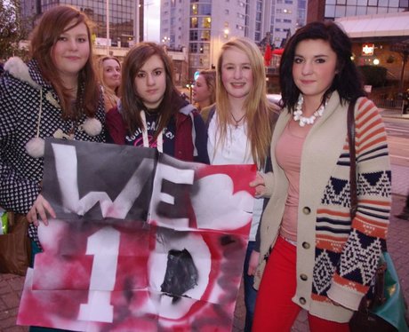 One Direction fans