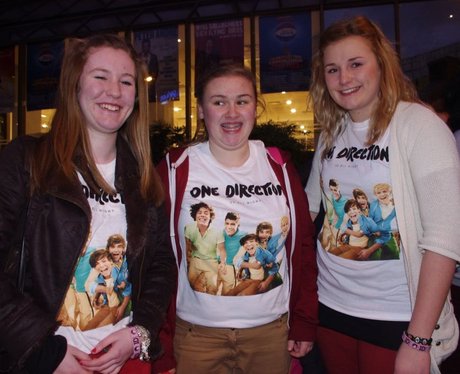 One Direction fans