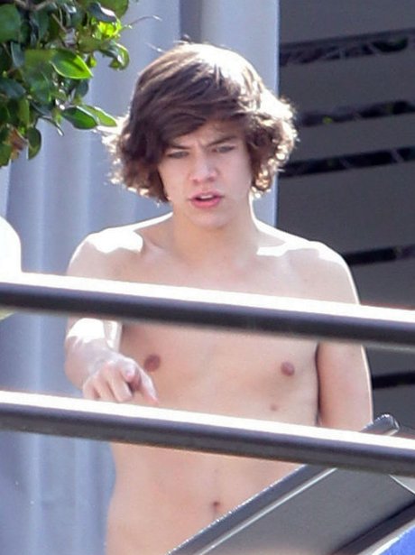harry styles in los angeles