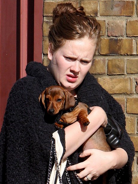 Adele's Dog