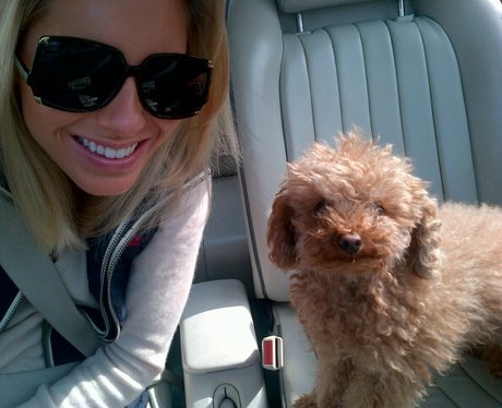 Mollie King with her dog Alfie on the train