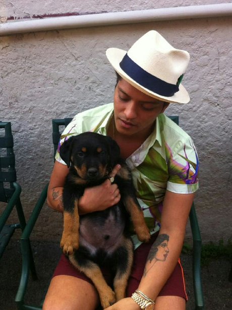 Bruno Mars and his pet dog