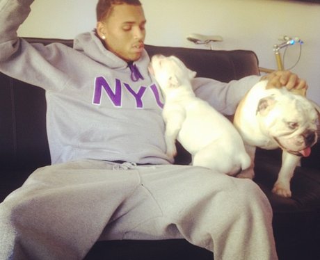 Chris Brown twitter