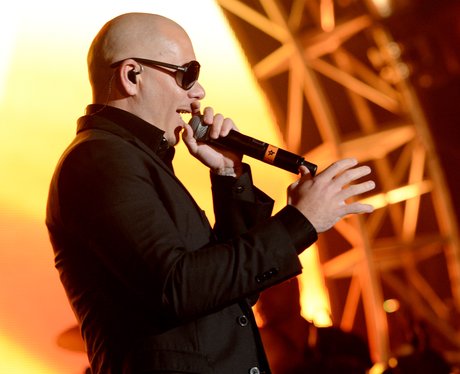 Pitbull