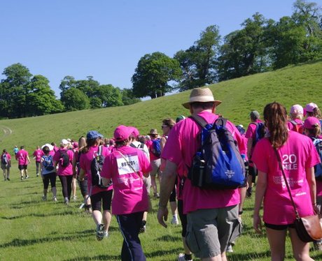 Petworth House Ribbon Walk