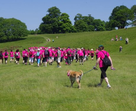 Petworth House Ribbon Walk