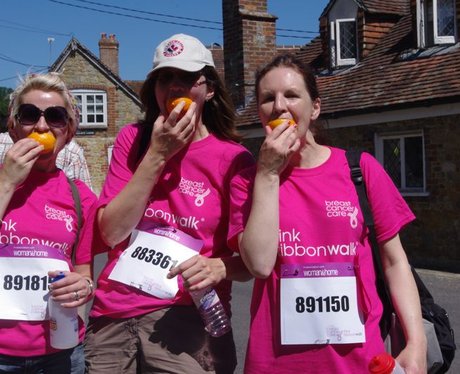 Petworth House Ribbon Walk