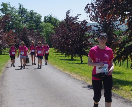 Petworth House Ribbon Walk