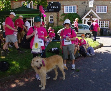 Petworth House Ribbon Walk
