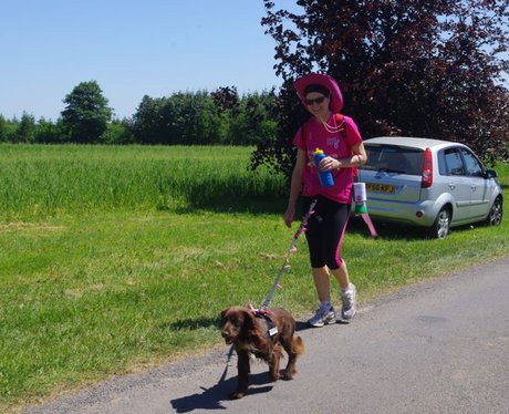 Petworth House Ribbon Walk