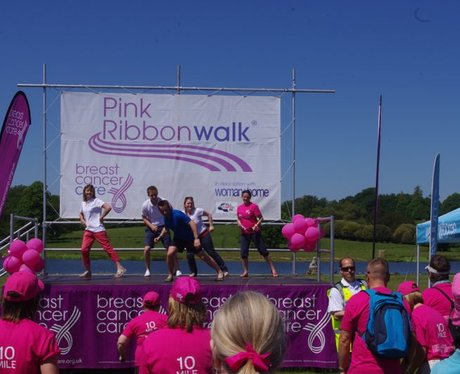 Petworth House Ribbon Walk