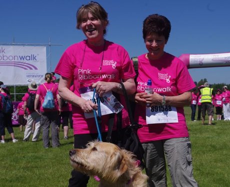 Petworth House Ribbon Walk