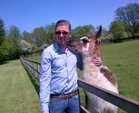 Professor Green