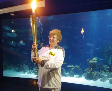 Olympic Torch Relay